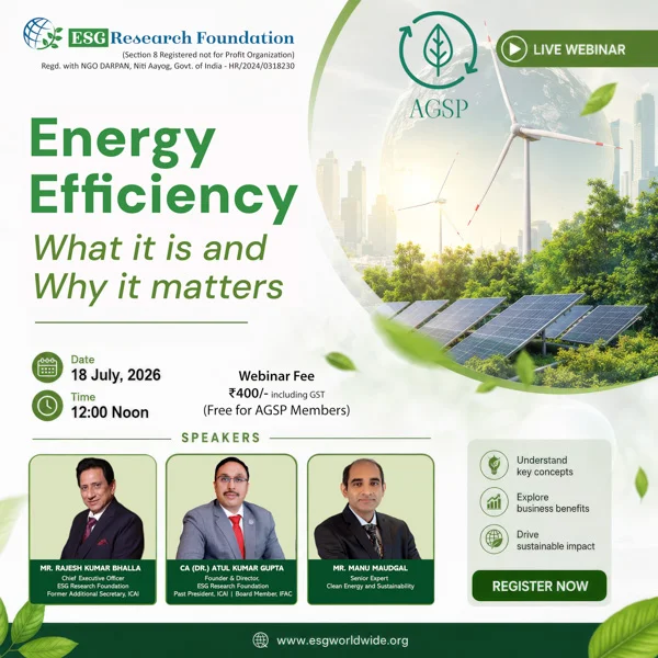 Energy Efficiency—What it is and Why it matters